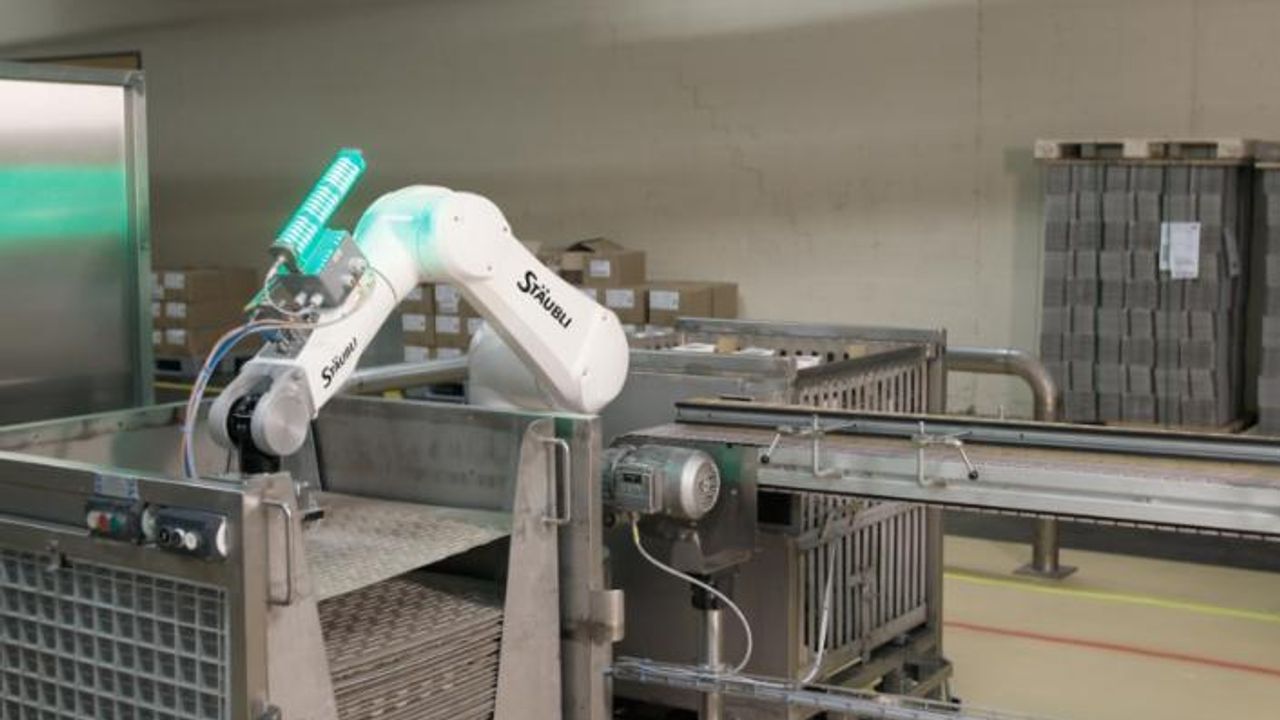 Gıda endüstrisinde gelecek insan-robot iş birliğinden geçiyor