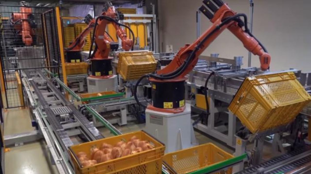 Sunduğu çözümle 7.500 ekmek el değmeden sevkiyata hazırlanıyor