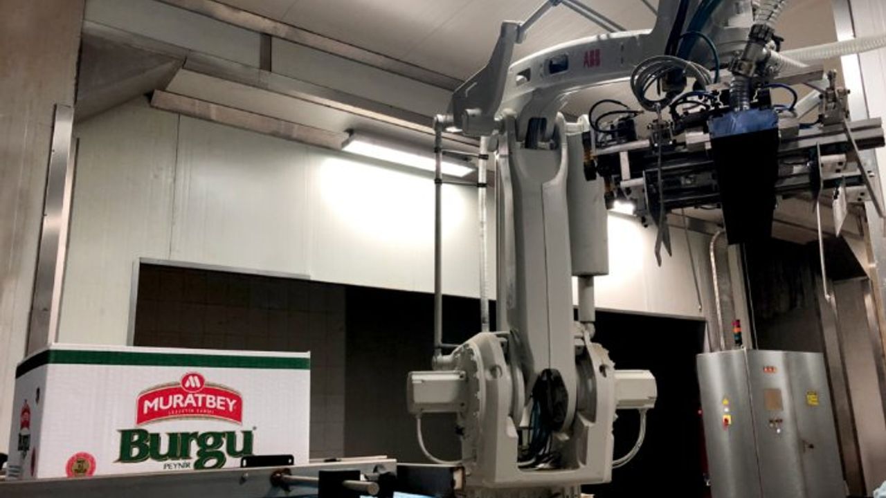 Paletleme sistemi için ek robot projeleri üzerinde çalışıyor