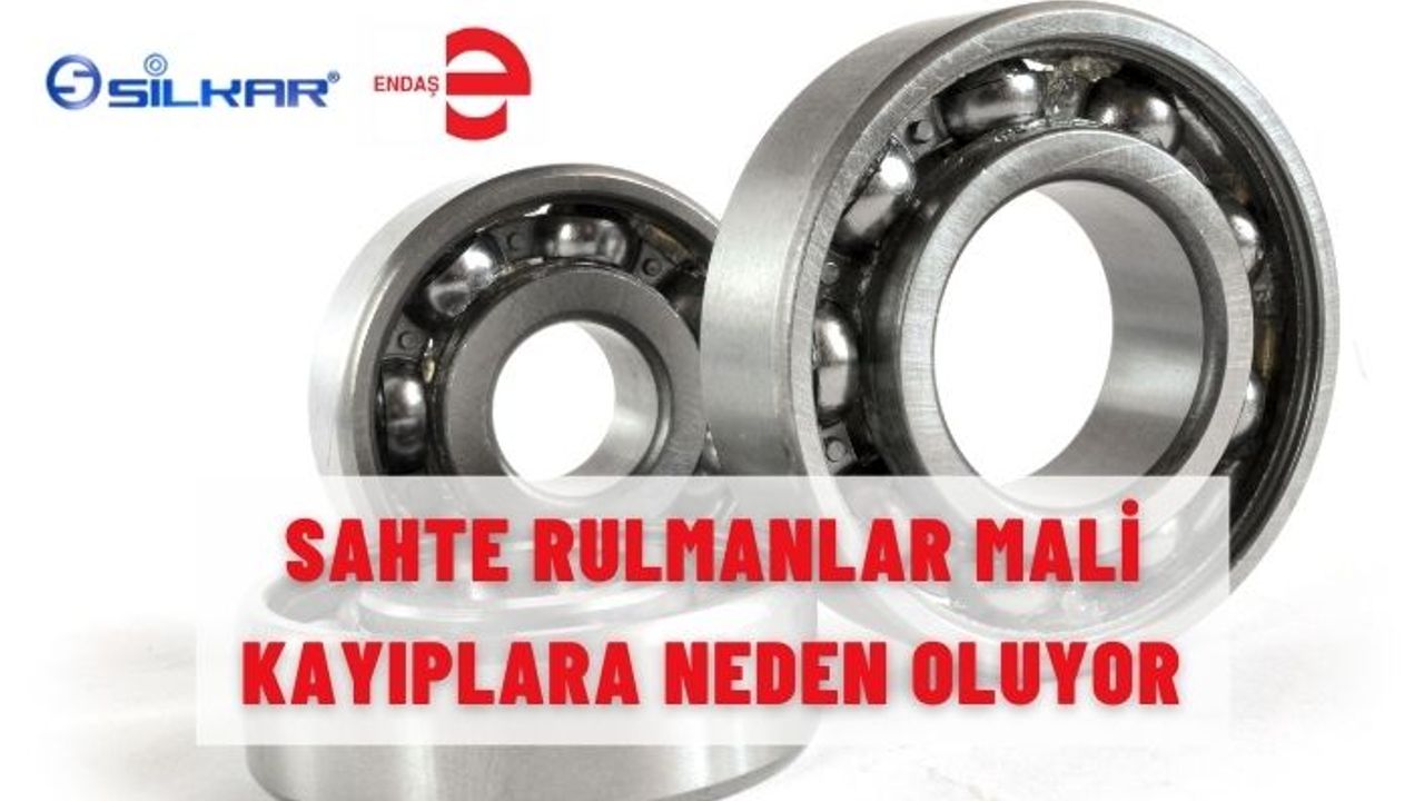 SAHTE RULMANLAR MALİ KAYIPLARA NEDEN OLUYOR