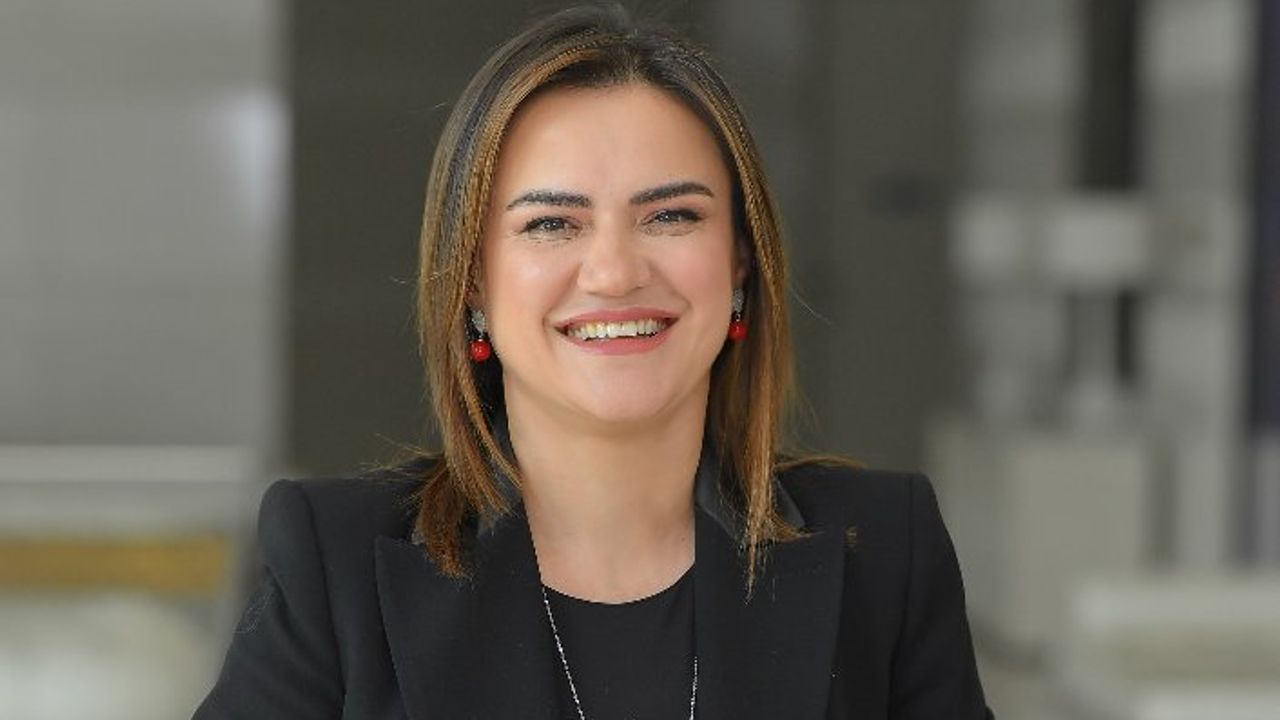 GES YATIRIMLARI İÇİN İKİ FİRMADAN İŞ BİRLİĞİ 