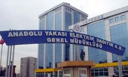 AYEDAŞ, BAKIM VE YATIRIMLARIYLA ANADOLU YAKASI'NI AYDINLATTI