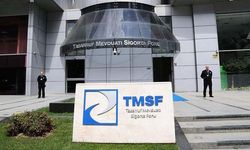 AKMİS TARIM, TMSF TARAFINDAN SATIŞA ÇIKARILDI