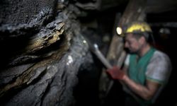 ORMAN VE EKOSİSTEM ZİRVESİ FUARINDA "TÜRKİYE'DE MADENCİLİK" KONUŞULDU