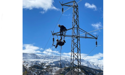 Planlı Bakım Çalışmaları Şebekeyi Güçlendirdi