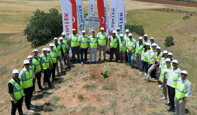 Sürdürülebilirlik İçin Yeni Bir Adım: Fidanlar Doğayla Buluştu