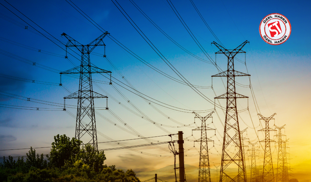 Türkiye Şebeke Esnekliğinde Stratejik Adım