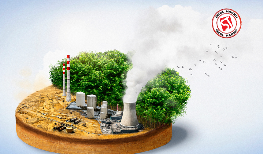 KÜRESEL KARBON KREDİSİ ARZI 2050’YE KADAR KATLANABİLİR