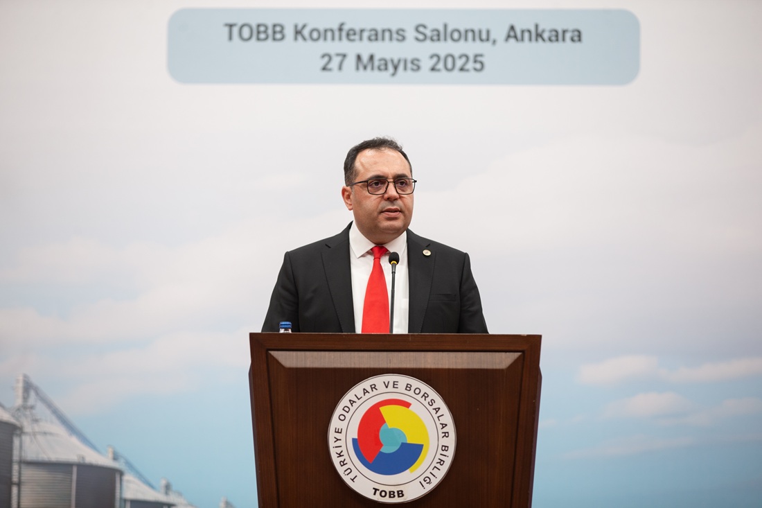 Mahmut Güzel 141539915