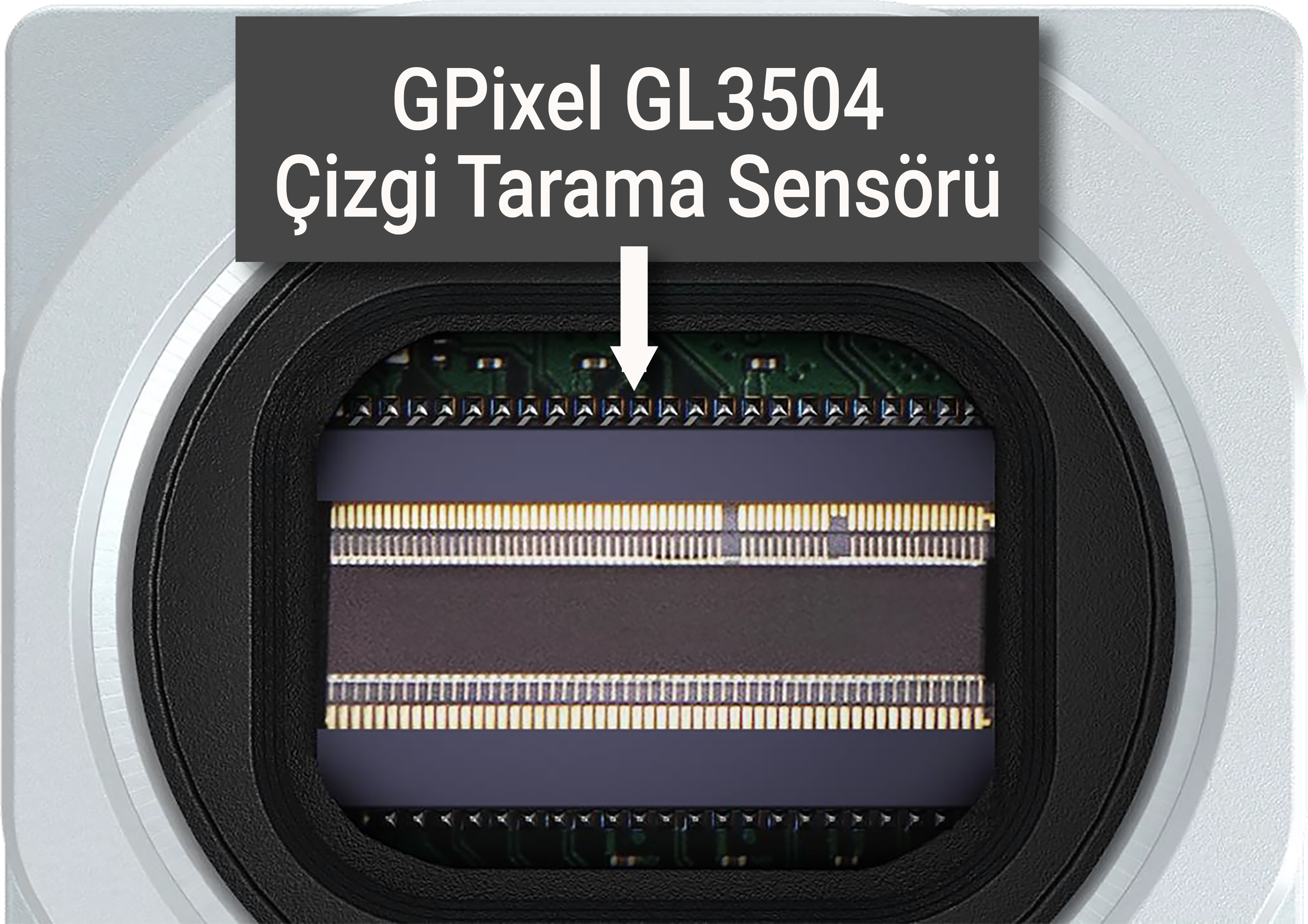 Sensor L