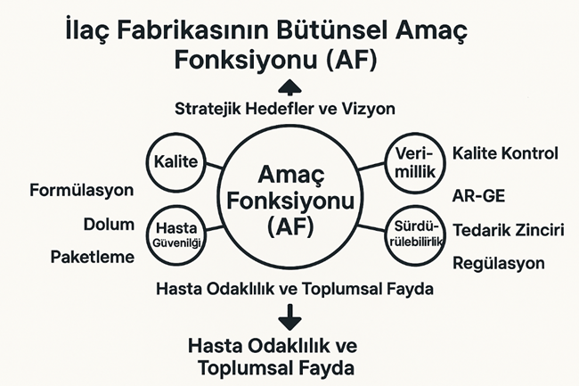 İlaç Fabrikasının Bütünsel Amaç Fonksiyonu