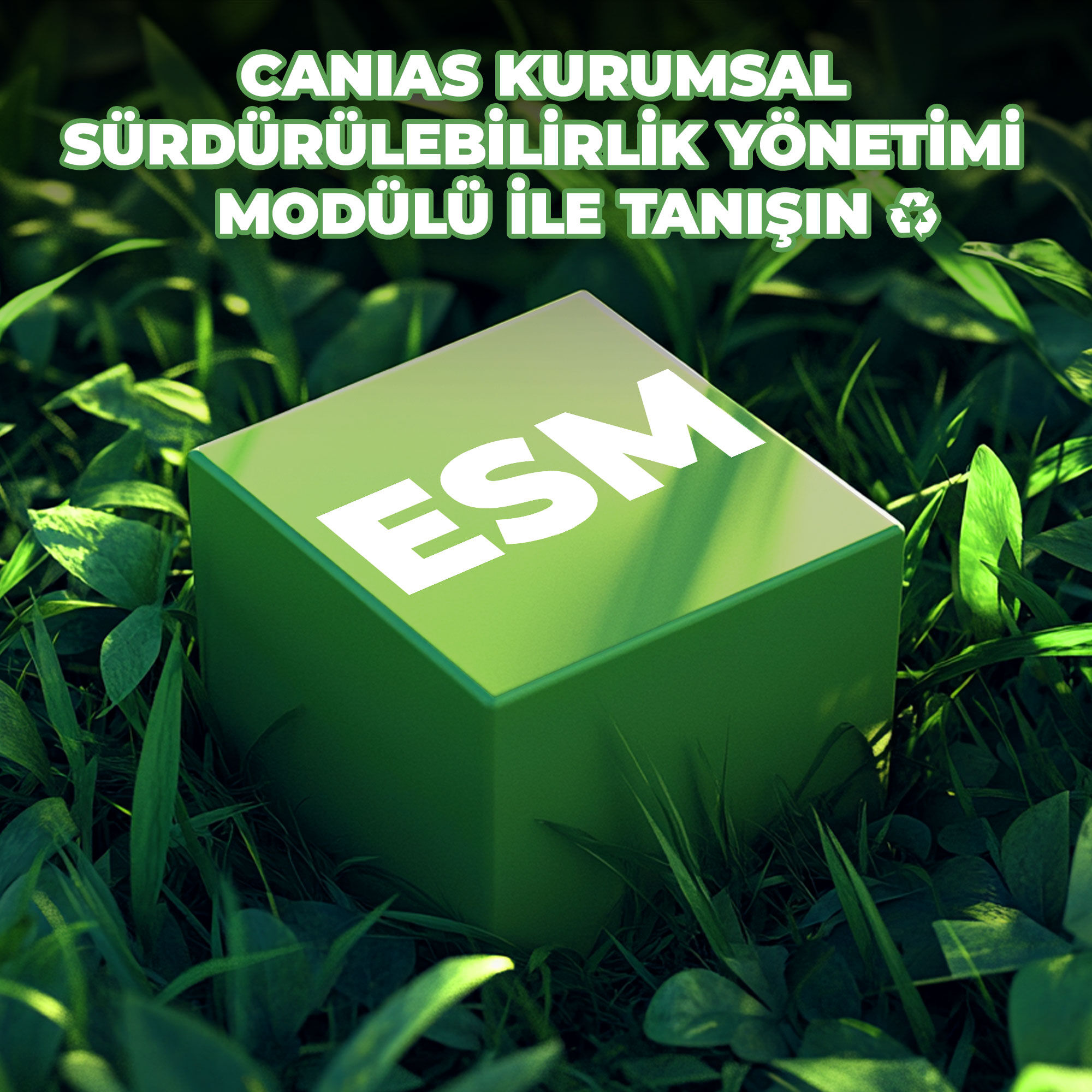 Haber Gönderimi Esm